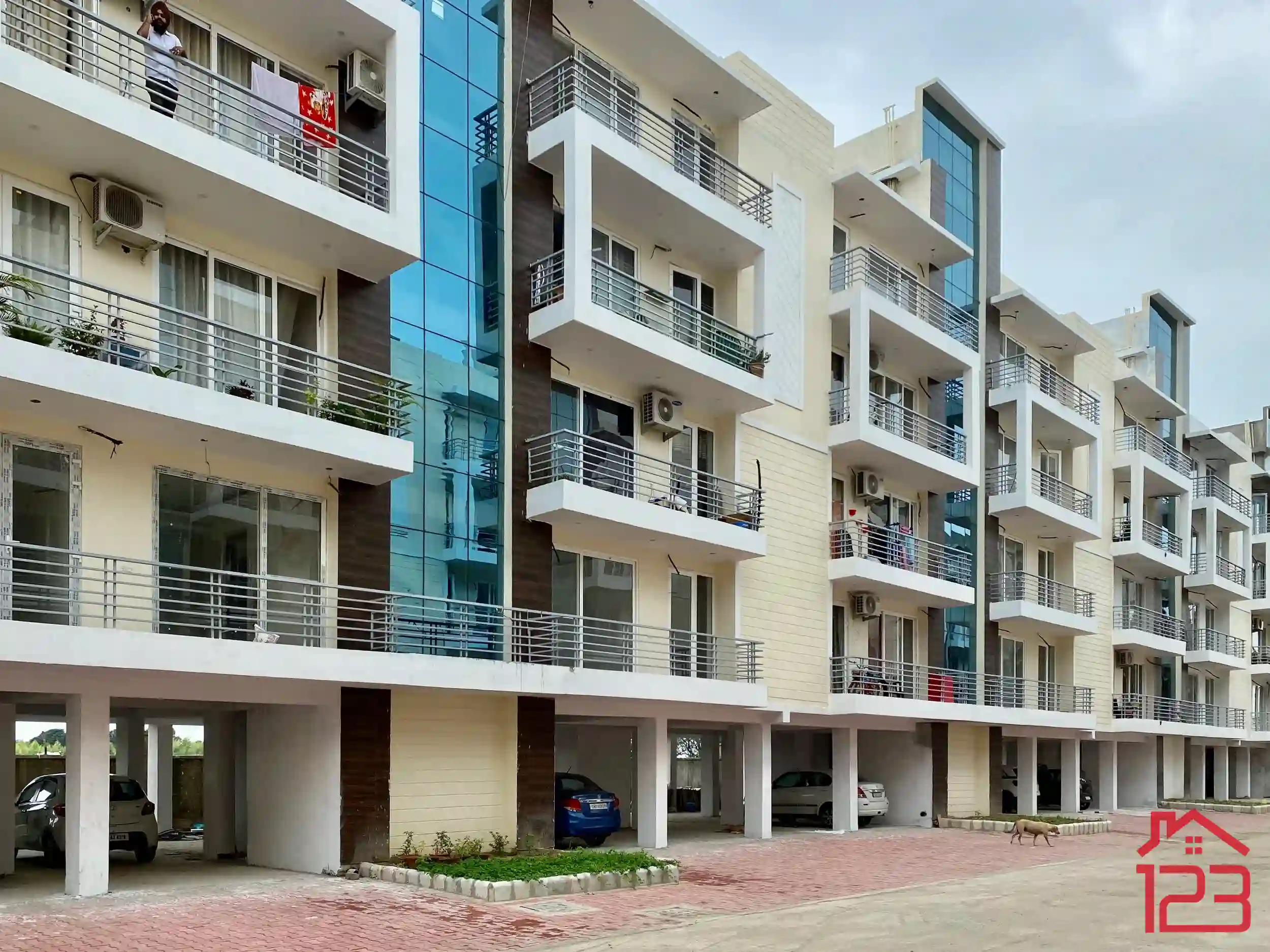 BOLLYWOODGreen city — image 28